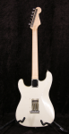 
                            Partscaster Stratocaster
